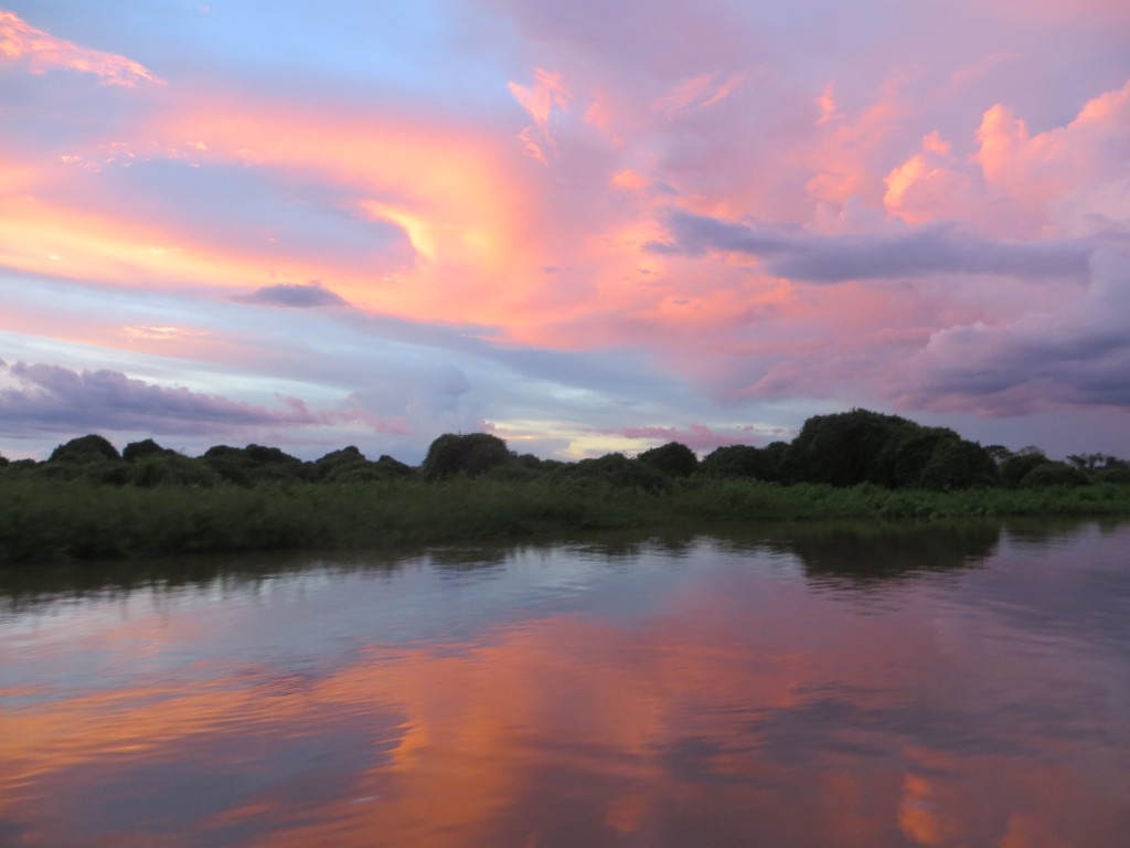 Brazil – the amazing Pantanal & Chapada dos Guimaraes.