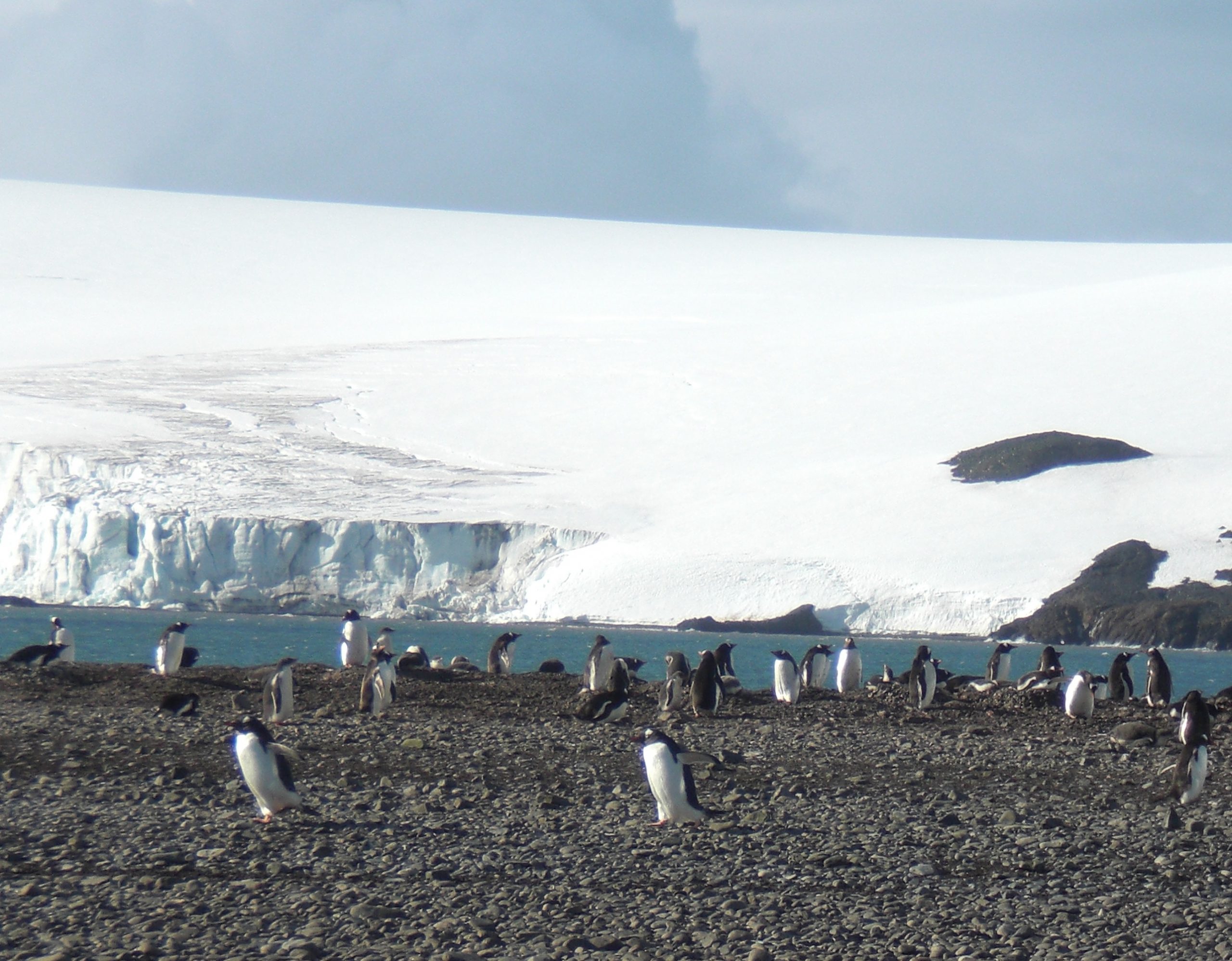 I have been to the very bottom of our planet – ANTARCTICA